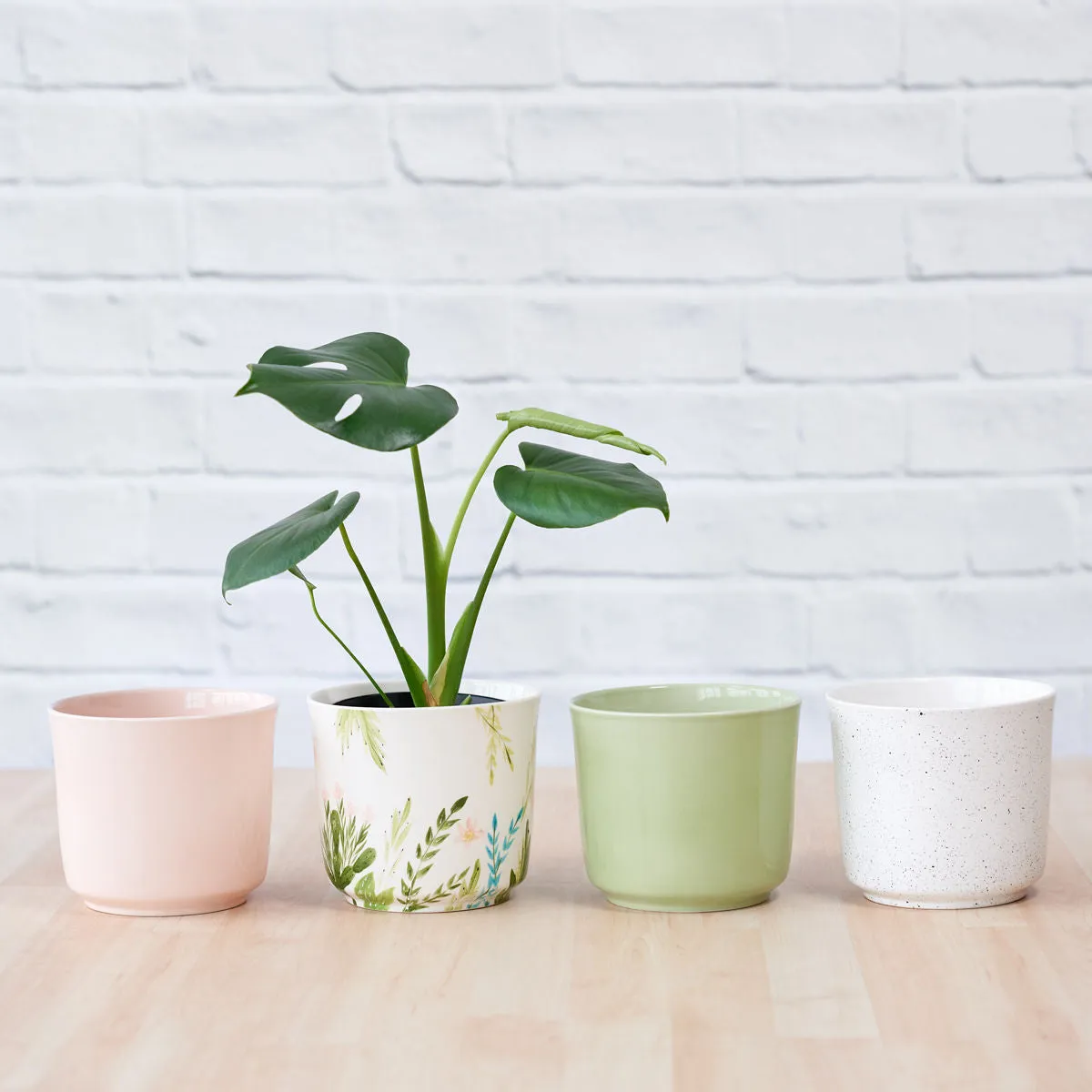 Emerson Pot - Spring Range