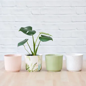 Emerson Pot - Spring Range