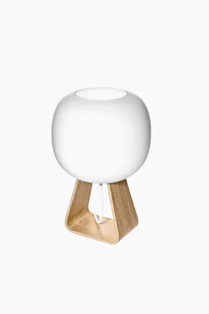 TOAD table lamp